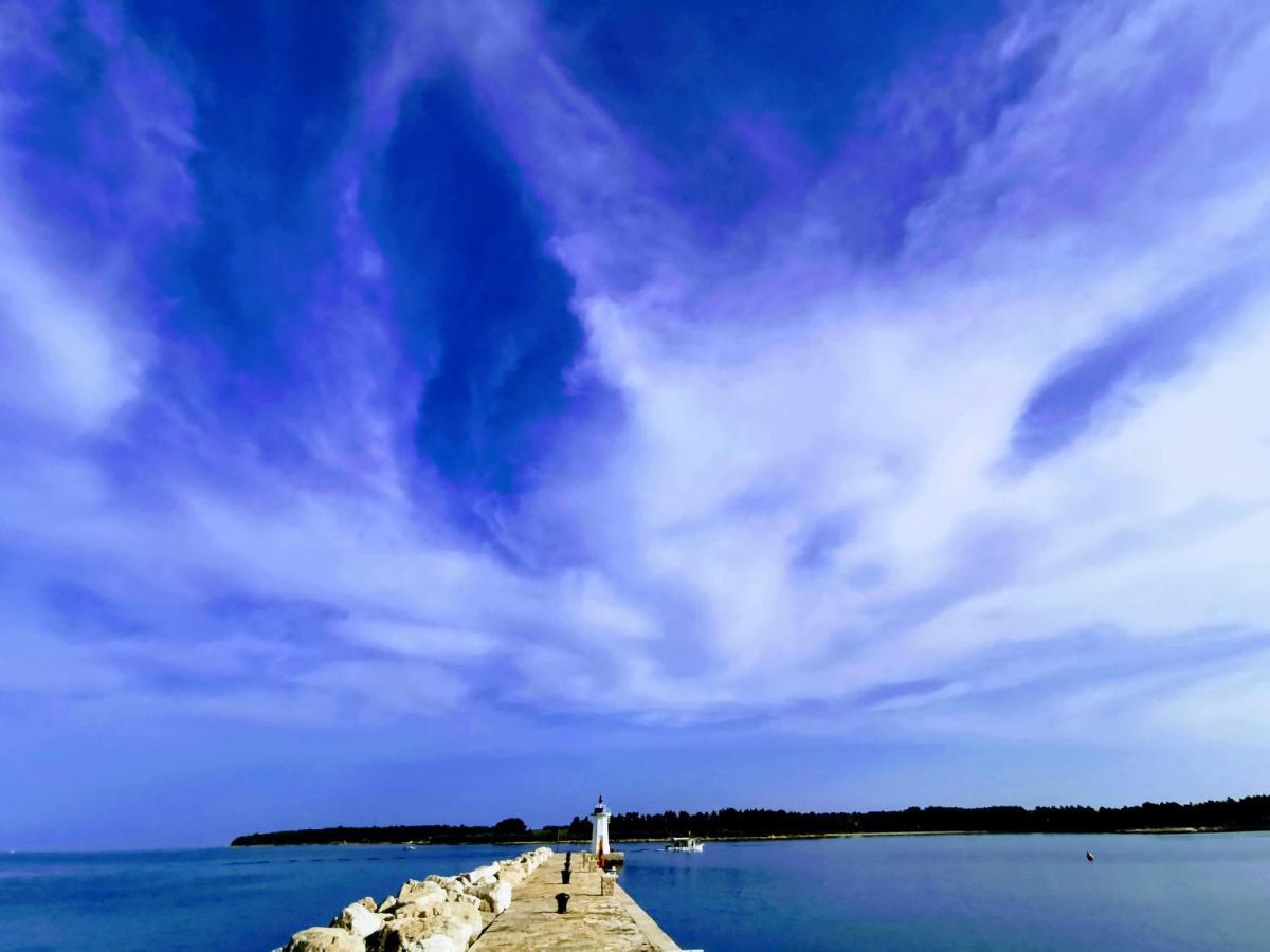 Lora Deluxe Superior 5 Star Apartment, Your Piece Of Heaven By The Sea & Park With Sea & Park View Новиград Экстерьер фото