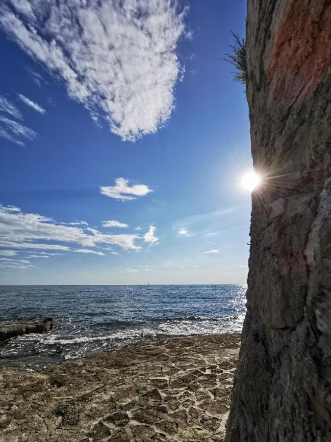 Lora Deluxe Superior 5 Star Apartment, Your Piece Of Heaven By The Sea & Park With Sea & Park View Новиград Экстерьер фото